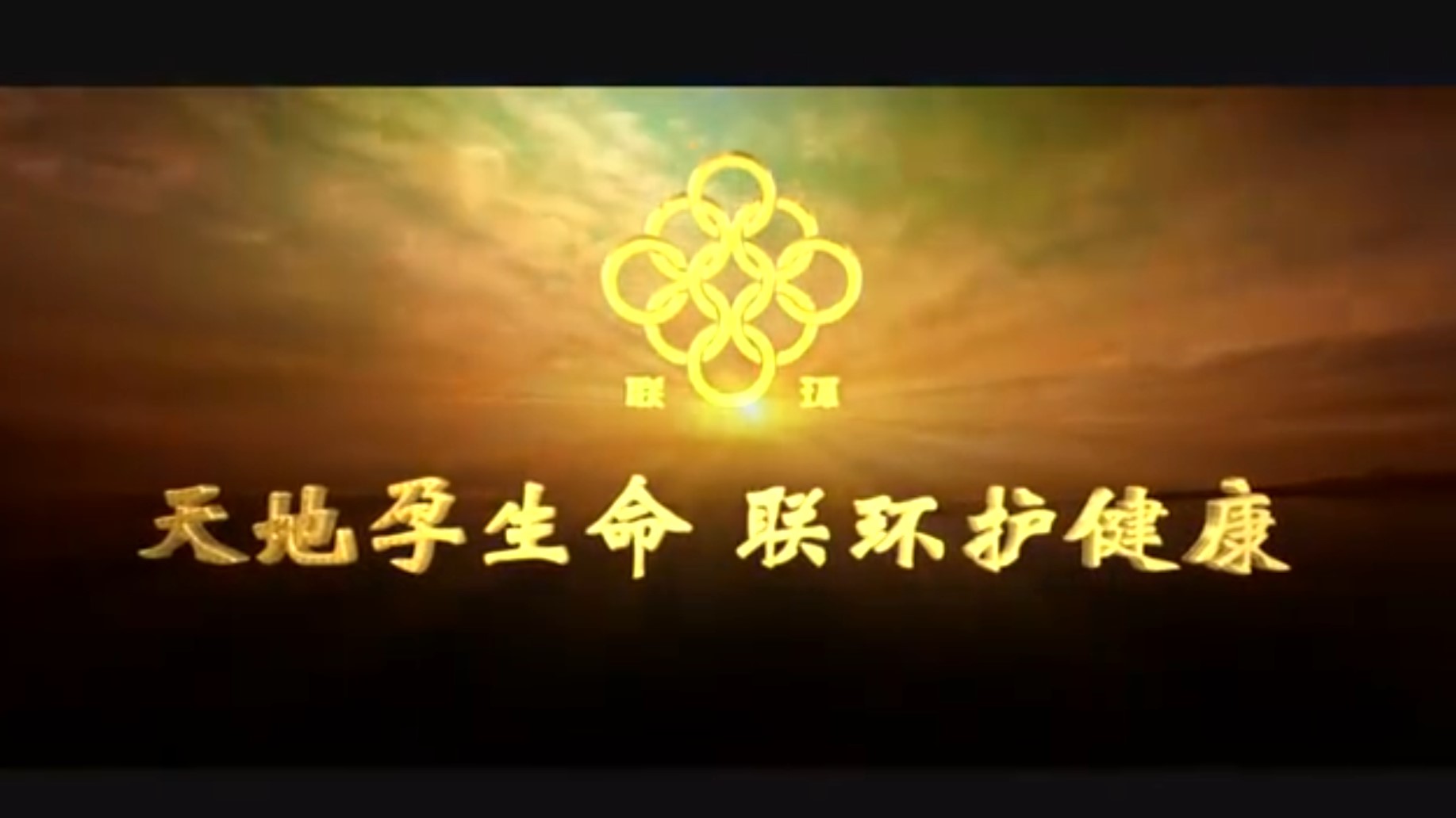 聯(lián)環(huán)集團廠歌